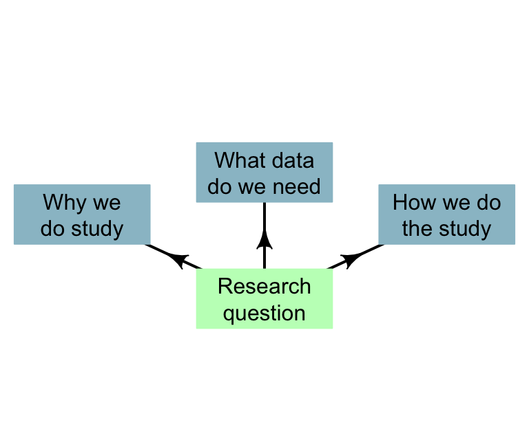 The RQ drives all aspects of the study